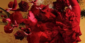 Nghệ sĩ Armik người cách tân nhạc Flamenco