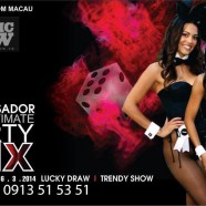 AMBASSADOR THE ULTIMATE PARTY MIX