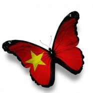 ĐÊM NHẠC LAZY BAND