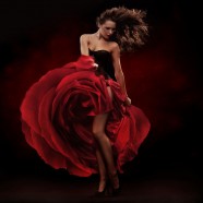 FLAMENCO NIGHT