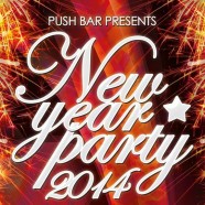 NEW YEAR PARTY 2014 tại PUSH BAR