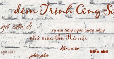 Đêm nhạc Trịnh đặc biệt